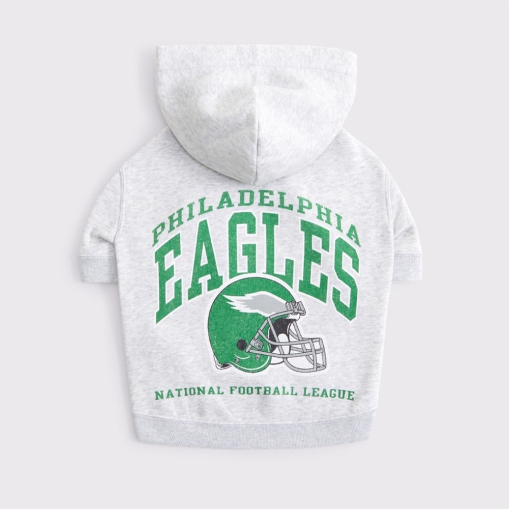Philadelphia Eagles Gray Hoodie for Pup